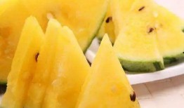 52爆料吃瓜网 吃瓜视频网站黑料视频,吃瓜视频网站黑料视频事件全解析